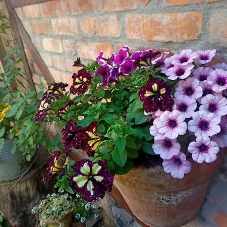 Apartament Bilard Nad Baltykiem Apartamento Gdynia