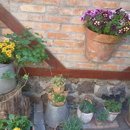 Apartament Bilard Nad Baltykiem Apartamento Gdynia