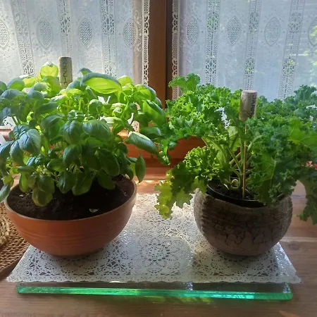 Apartament Bilard Nad Baltykiem Gdynia