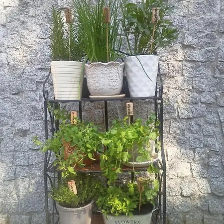 Apartament Bilard Nad Baltykiem Gdynia