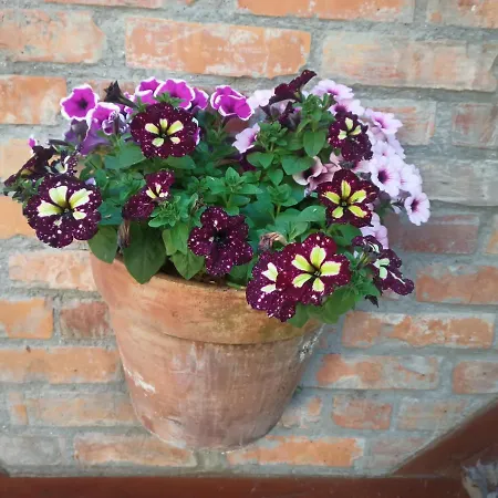 Apartament Bilard Nad Baltykiem * Gdynia