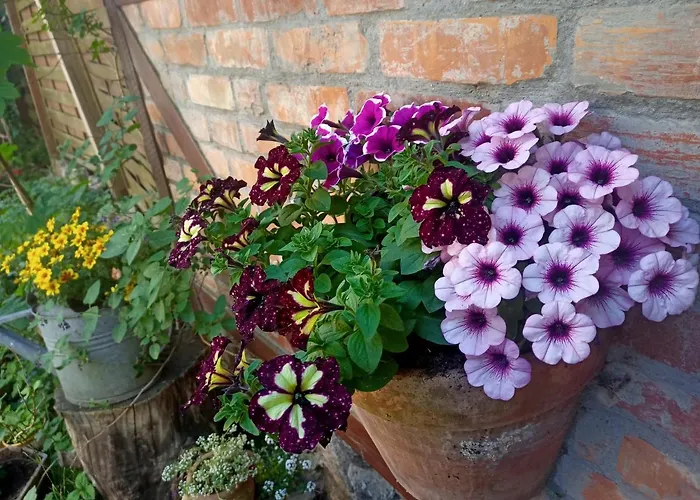 Apartament Bilard Nad Baltykiem Appartement Gdynia