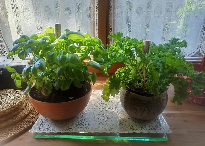 Apartament Bilard Nad Baltykiem Gdynia